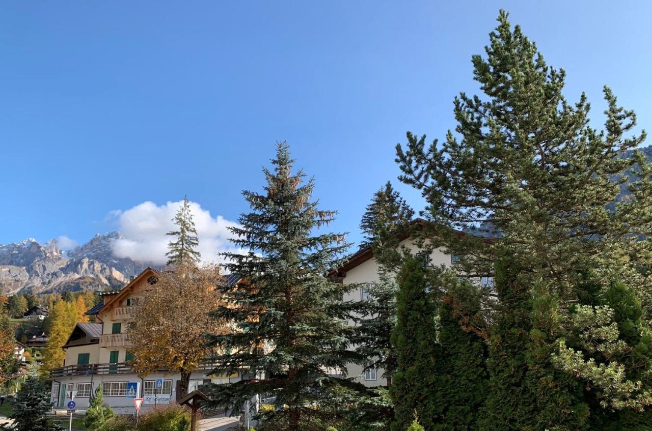 Hotel Serena Cortina Cortina dʼAmpezzo Extérieur photo