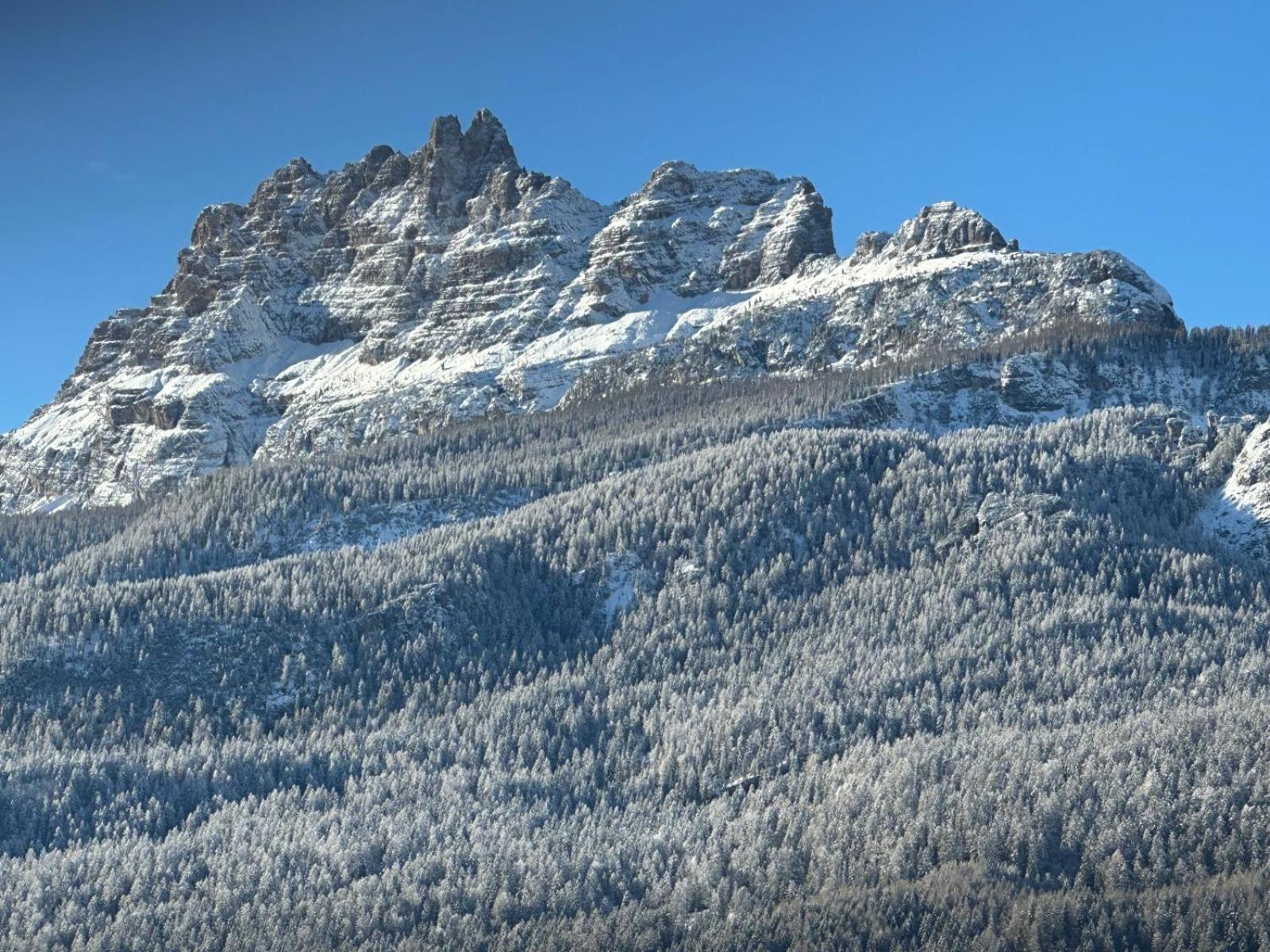 Hotel Serena Cortina Cortina dʼAmpezzo Extérieur photo